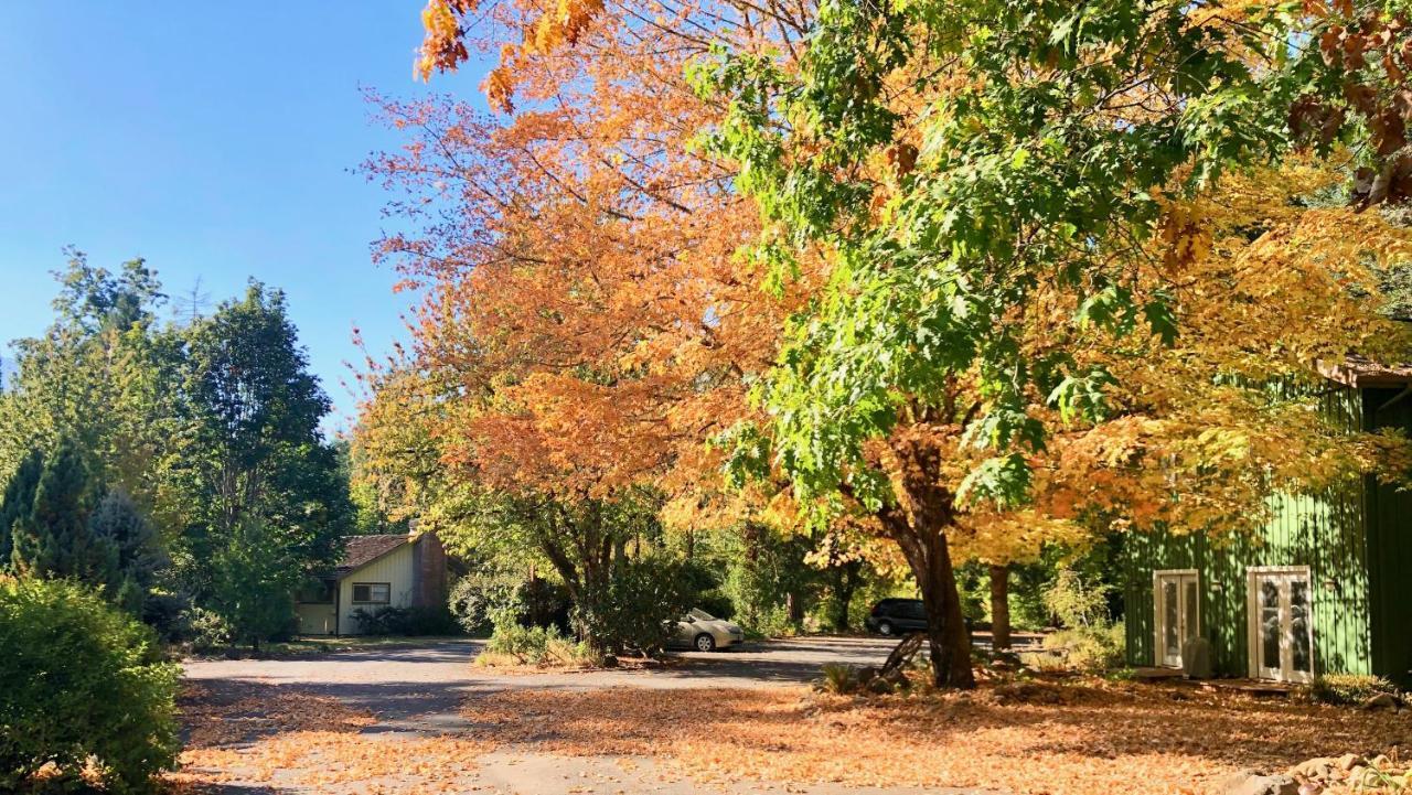 Mckenzie River Mountain Resort Blue River Exterior foto